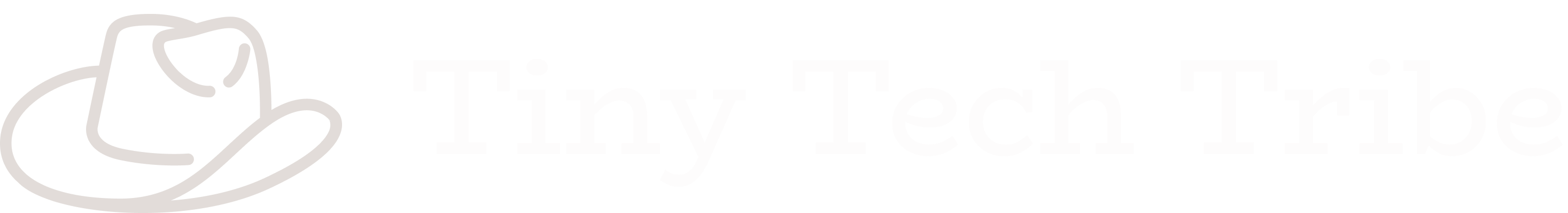 Tiny Tech Tribe Ltd.